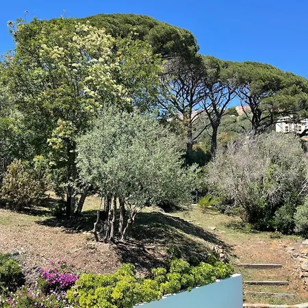 Superb Villa-hauteurs Bastia-heated Pool-view